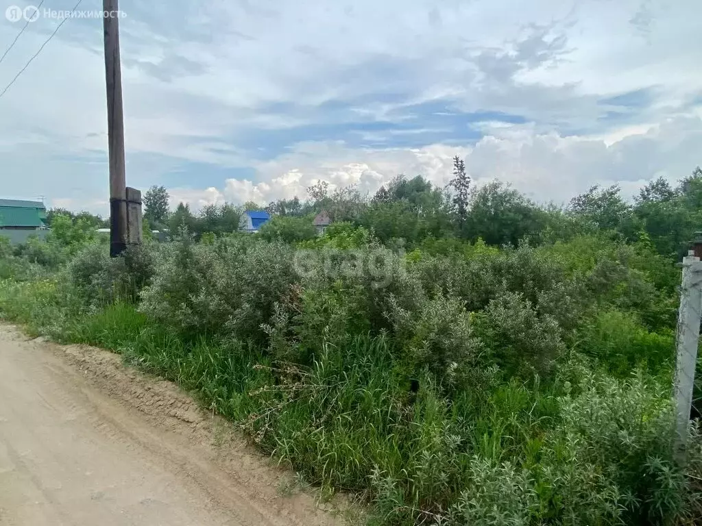 Участок в Ульяновская область, Старомайнский муниципальный округ, СНТ ... - Фото 1