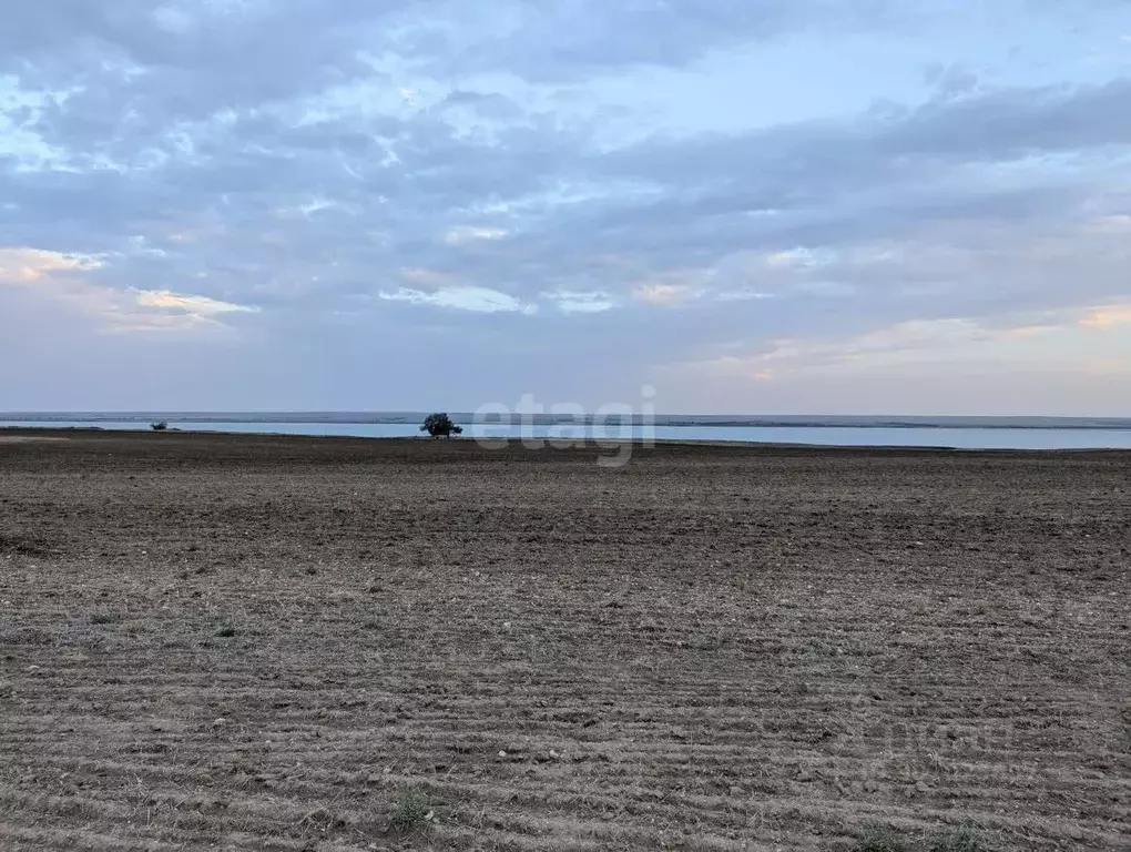 Участок в Крым, Черноморский район, с. Межводное ул. Джарылгачская ... - Фото 1