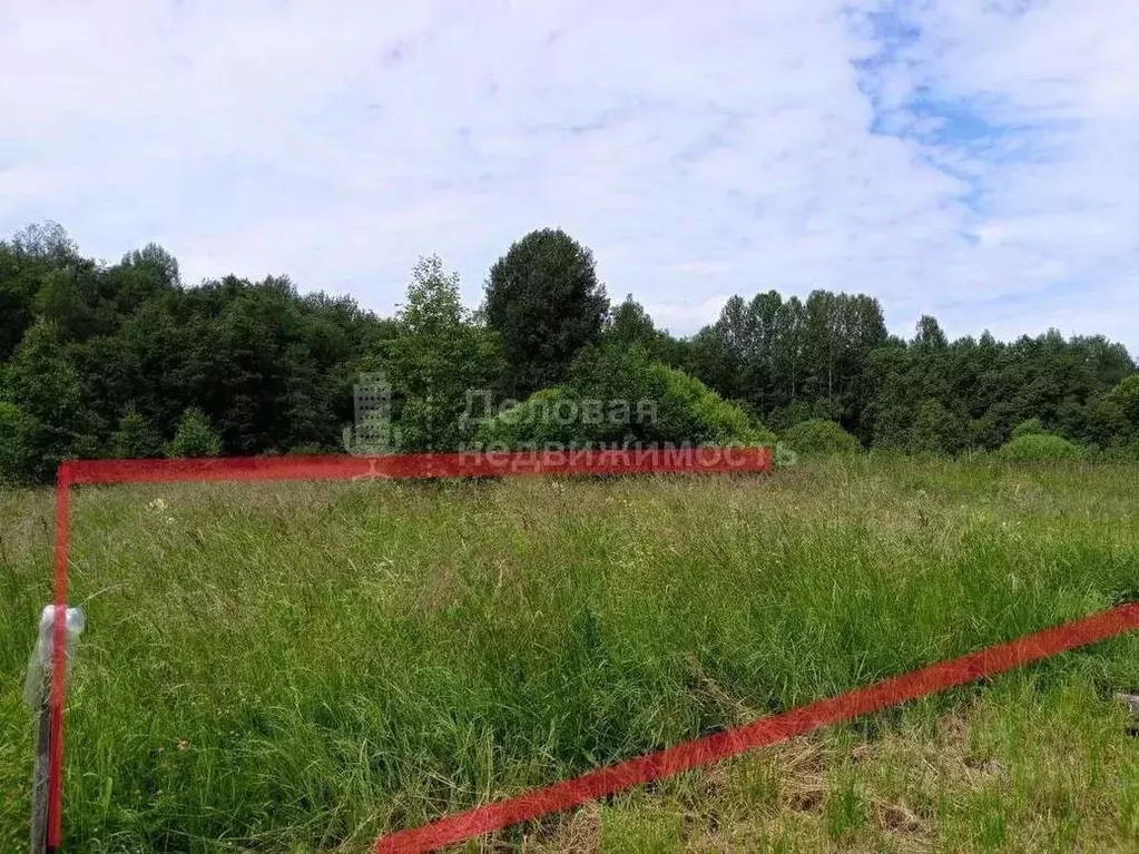 Участок в Новгородская область, Новгородский район, Ермолинское с/пос, ... - Фото 2