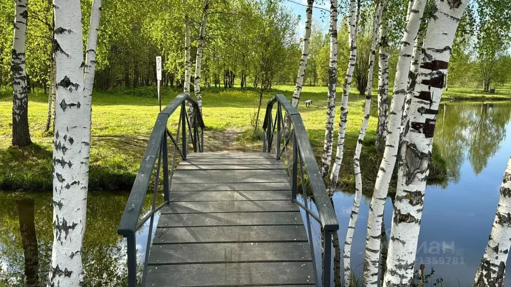 Участок в Московская область, Солнечногорск городской округ, Семейный ... - Фото 1