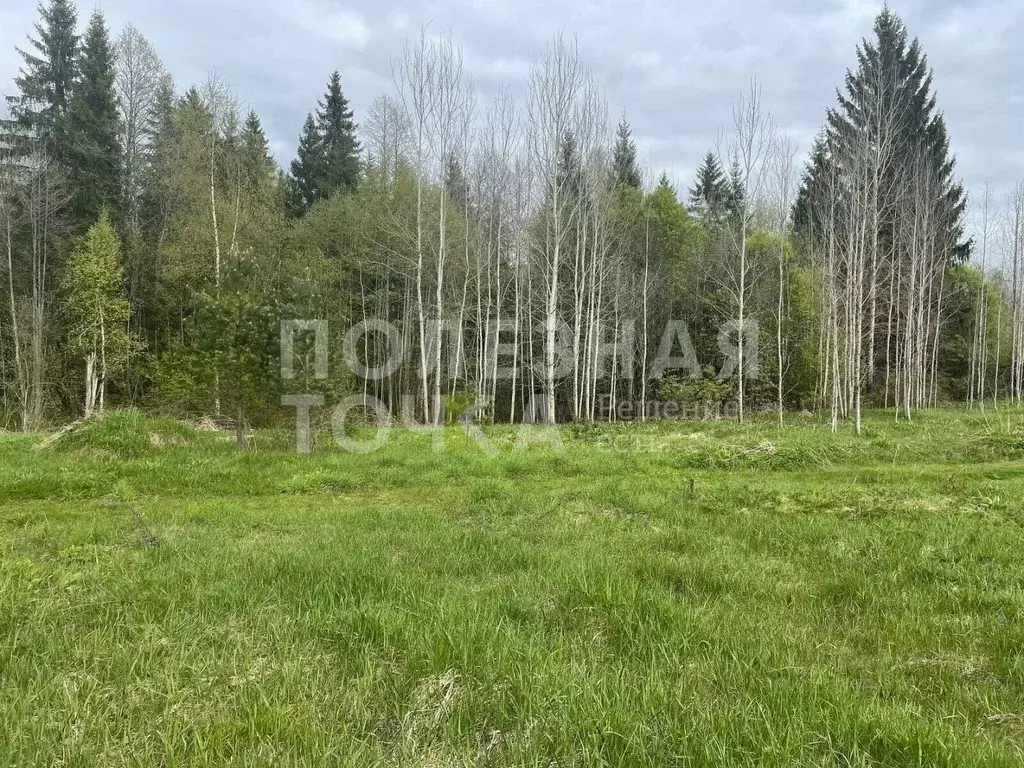 Участок в Новгородская область, Боровичский район, Сушанское с/пос, ... - Фото 1