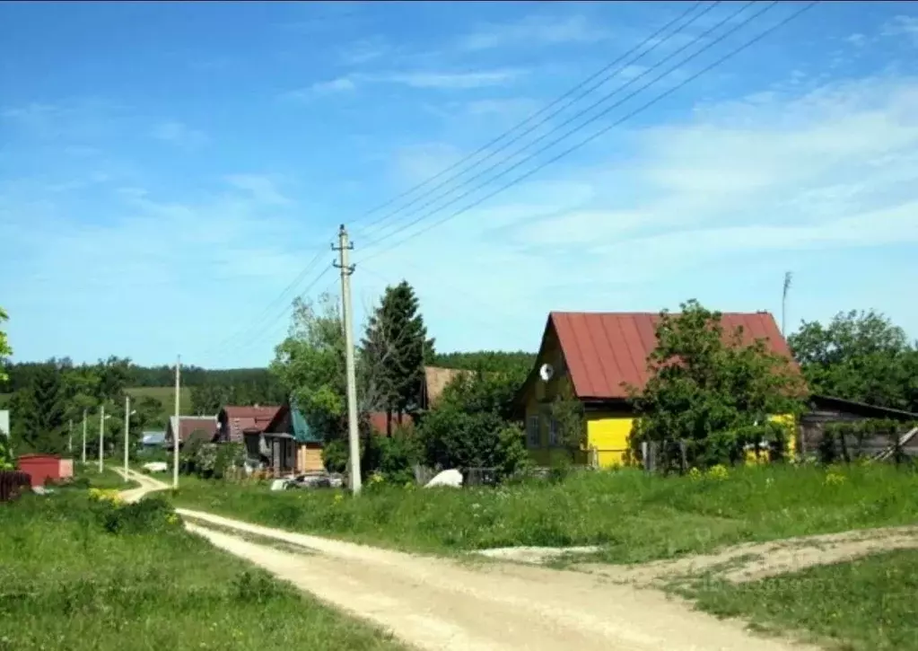 Участок в Владимирская область, Суздальский район, Новоалександровское ... - Фото 0