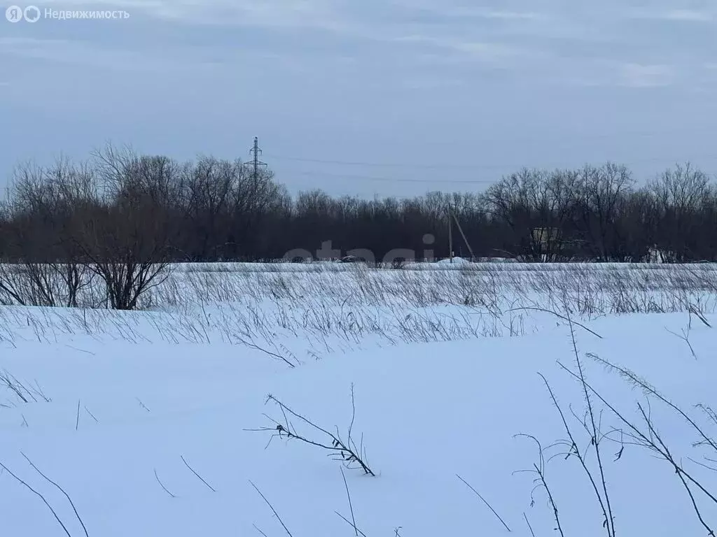 Участок в Архангельск, микрорайон Зеленец (7.58 м) - Фото 2