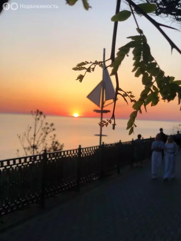 Участок в Краснодарский край, Анапа (6 м) - Фото 1