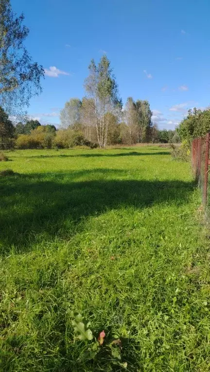 Участок в Московская область, Орехово-Зуевский городской округ, д. ... - Фото 1