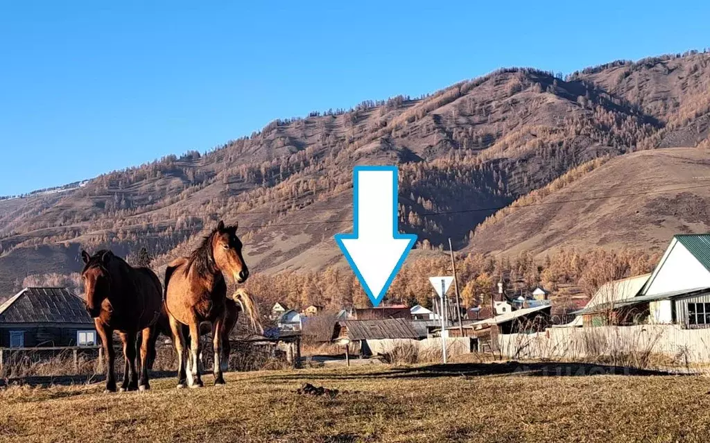 Участок в Алтай, Усть-Коксинский район, с. Усть-Кокса  (6.0 сот.) - Фото 1