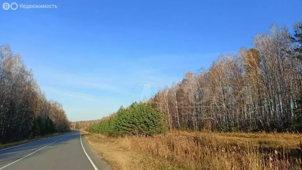 Участок в Тюменский район, деревня Есаулова (10.5 м) - Фото 0