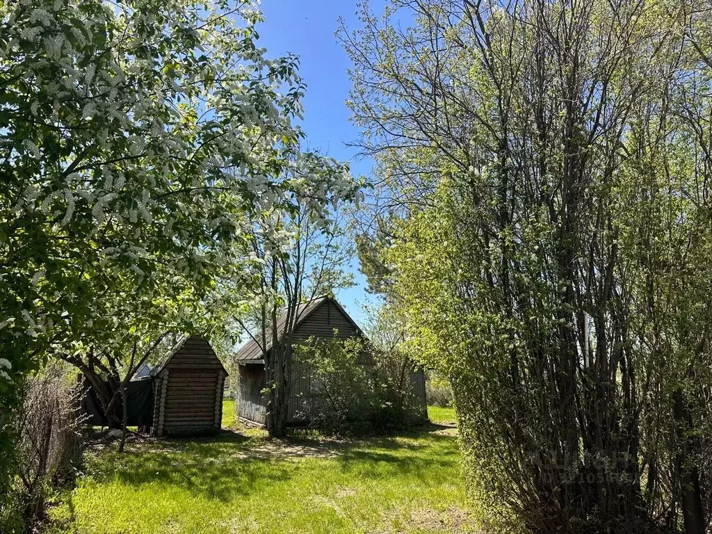 Дом в Алтайский край, Павловский район, с. Стуково Молодежная ул., 11 ... - Фото 1