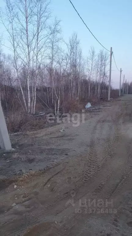 Участок в Амурская область, Благовещенский район, с. Чигири  (7.9 ... - Фото 1