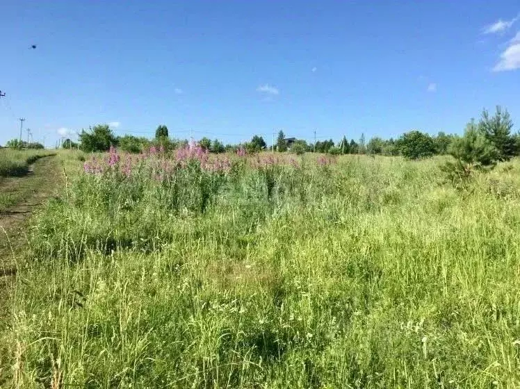 Участок в Кемеровская область, Кемеровский район, с. Силино ул. 3-я ... - Фото 0