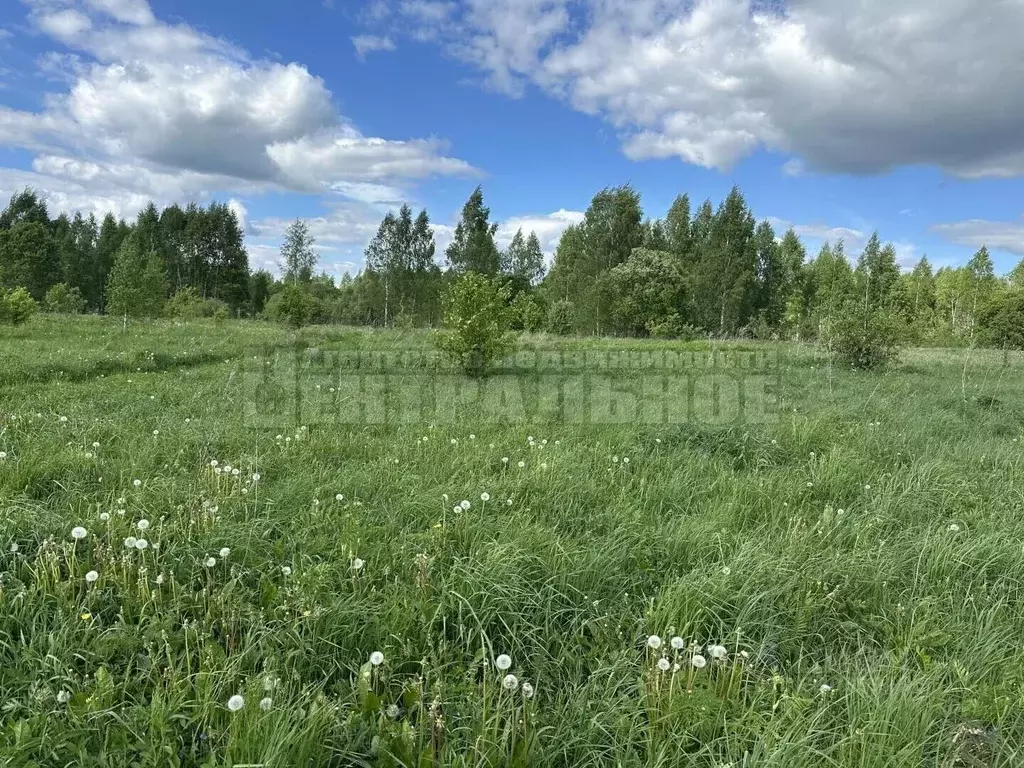 Участок в Смоленская область, Смоленск Подснежник садоводческое ... - Фото 1