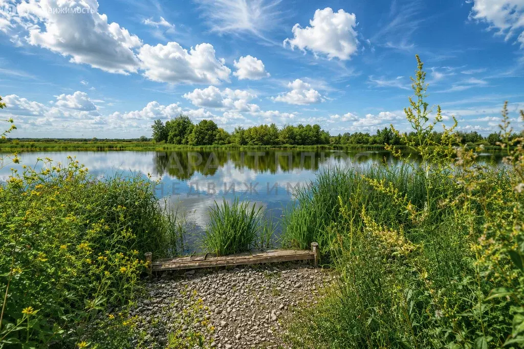 Участок в село Крутогорье, Набережная улица, 7А (9.1 м) - Фото 2