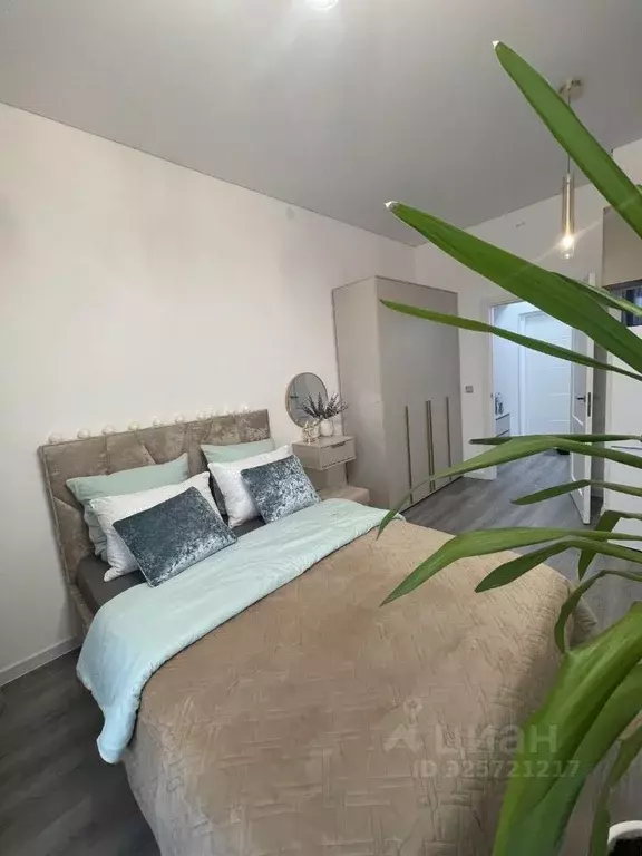 Студия Санкт-Петербург просп. Обуховской обороны, 36 (24.3 м) - Фото 1