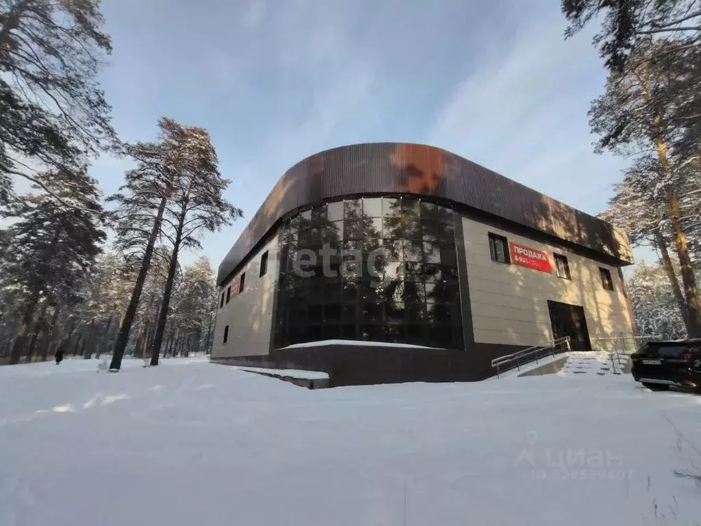 Помещение свободного назначения в Забайкальский край, Чита ... - Фото 1