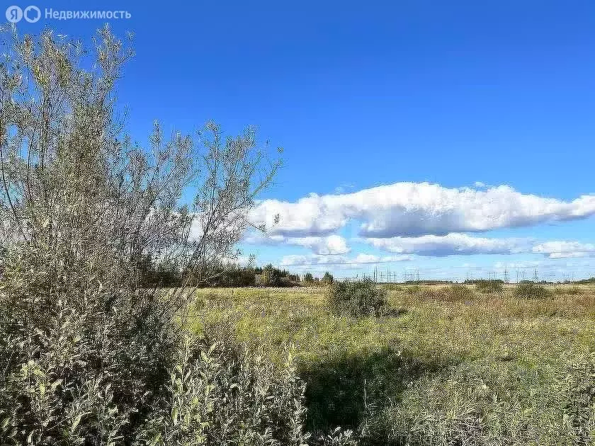 Участок в Тюмень, ТОО Ембаевское (6.52 м) - Фото 1