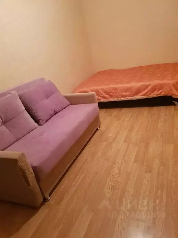 1-к кв. Ленинградская область, Никольское Тосненский район, ... - Фото 1