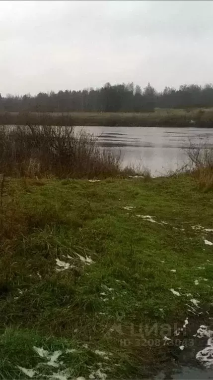 Участок в Псковская область, Палкинская волость  (13.0 сот.) - Фото 1