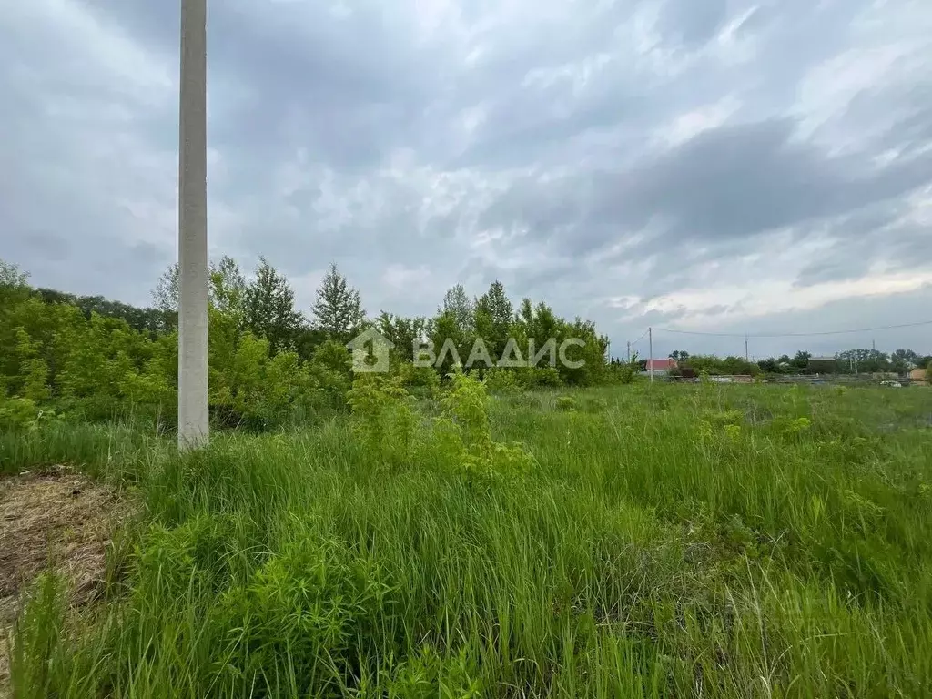 Участок в Пензенская область, Пенза Заря СНТ,  (6.0 сот.) - Фото 0