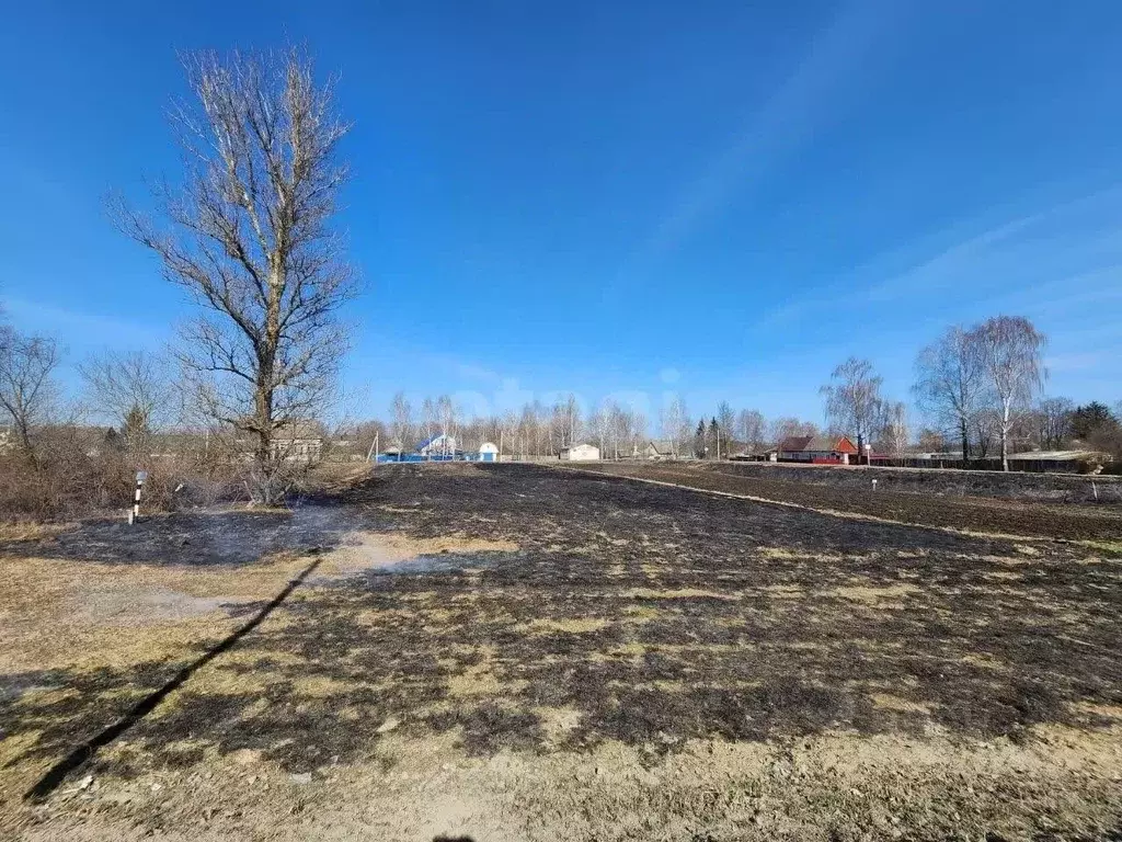 Участок в Брянская область, Брянский район, с. Глинищево ул. Связистов ... - Фото 1