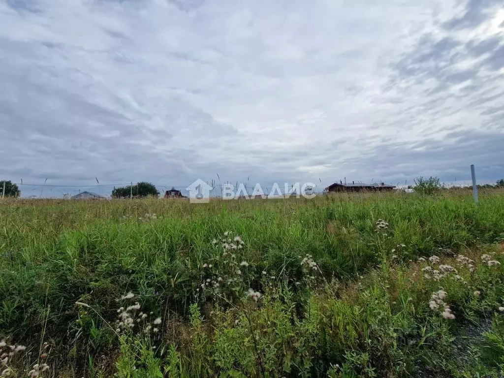 Участок в Ленинградская область, Всеволожский район, Лесколовское ... - Фото 1