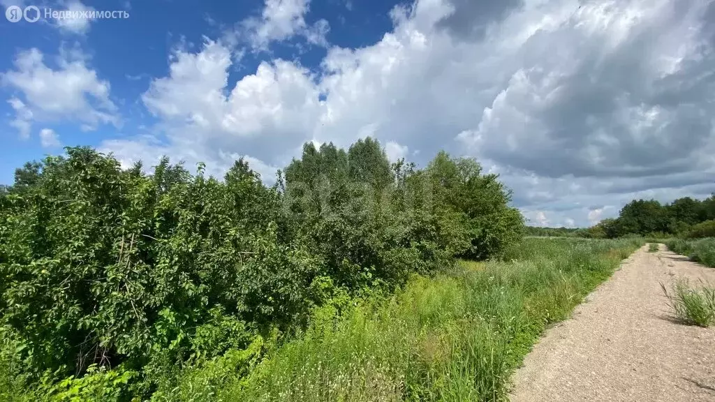 Участок в Калининградская область, Полесский муниципальный округ, ... - Фото 1