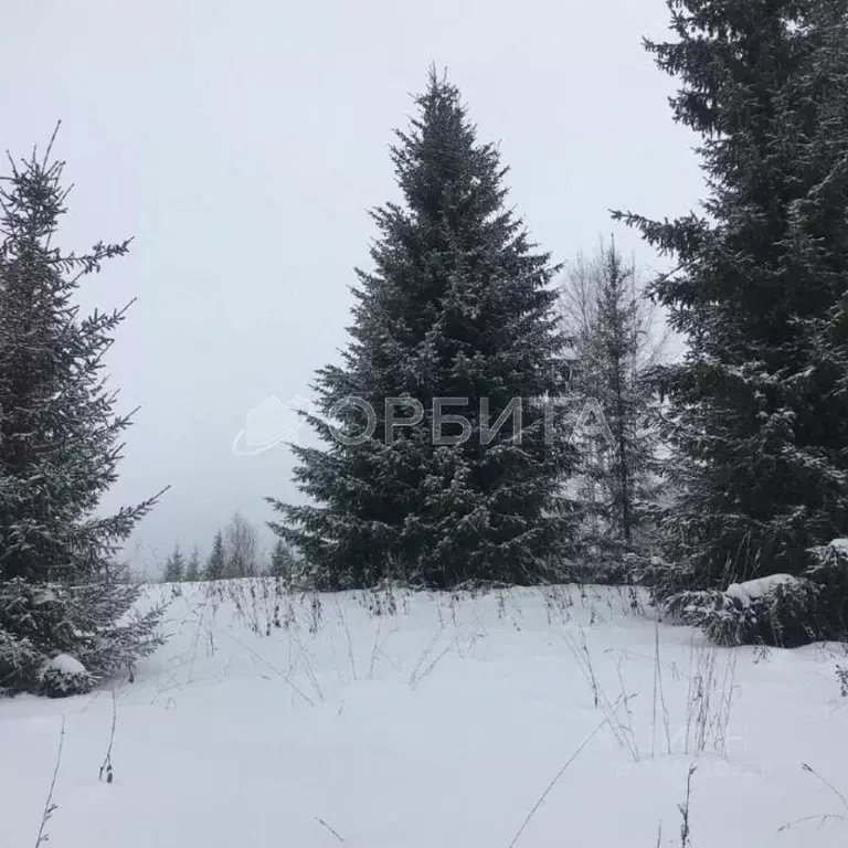 Участок в Тюменская область, Тюменский муниципальный округ, с. Кулига  ... - Фото 2