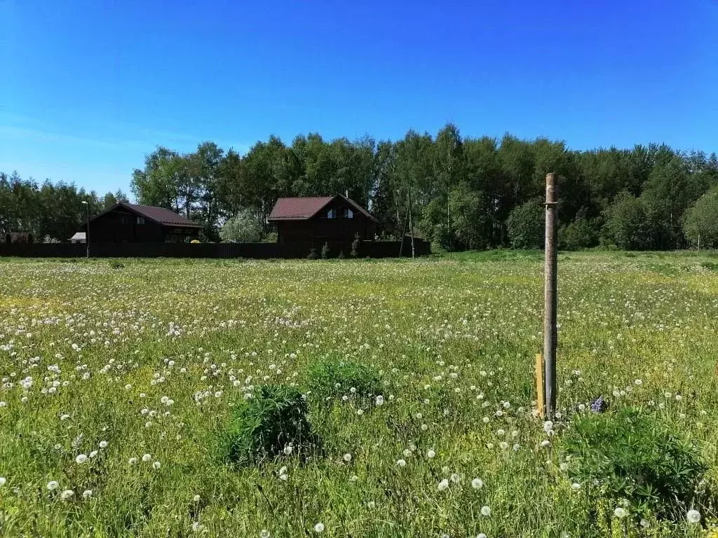 Участок в Владимирская область, Киржачский муниципальный округ, д. ... - Фото 1