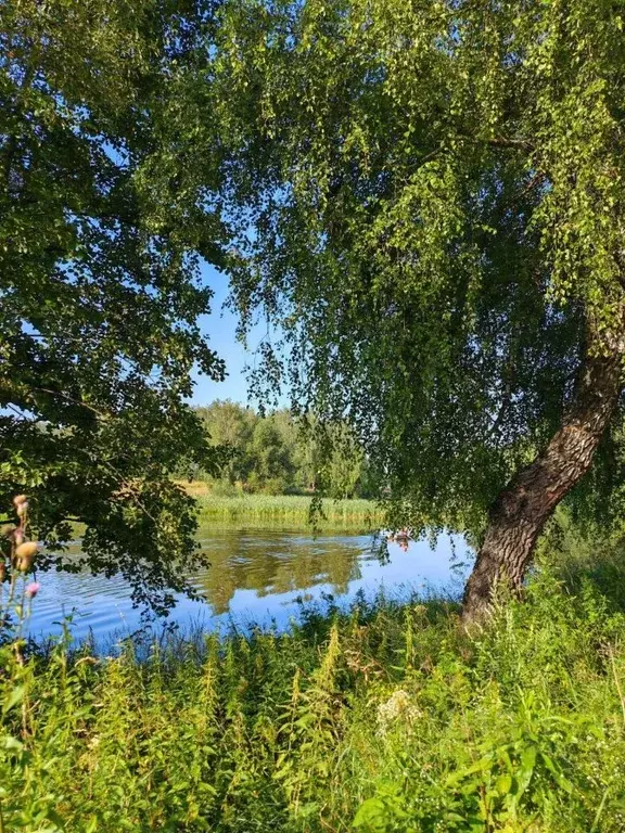 Участок в Московская область, Раменский муниципальный округ, ... - Фото 1