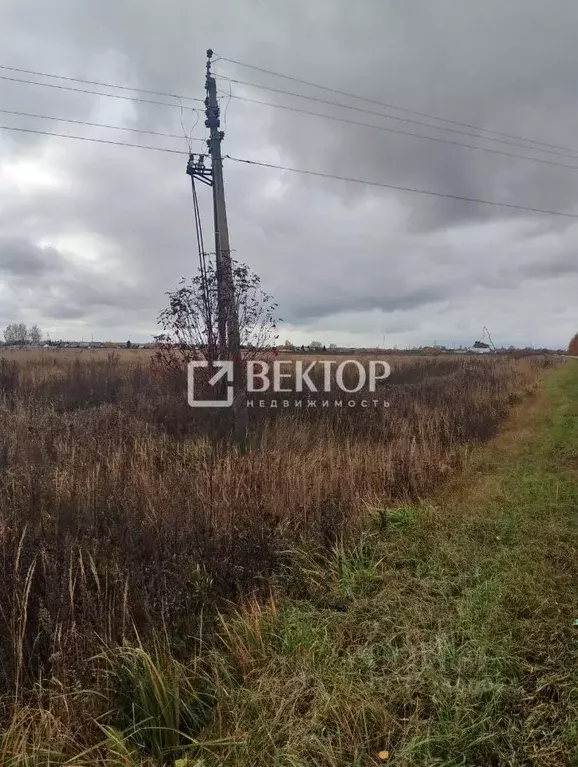 Участок в Костромская область, Костромской район, Шунгенское с/пос, д. ... - Фото 2