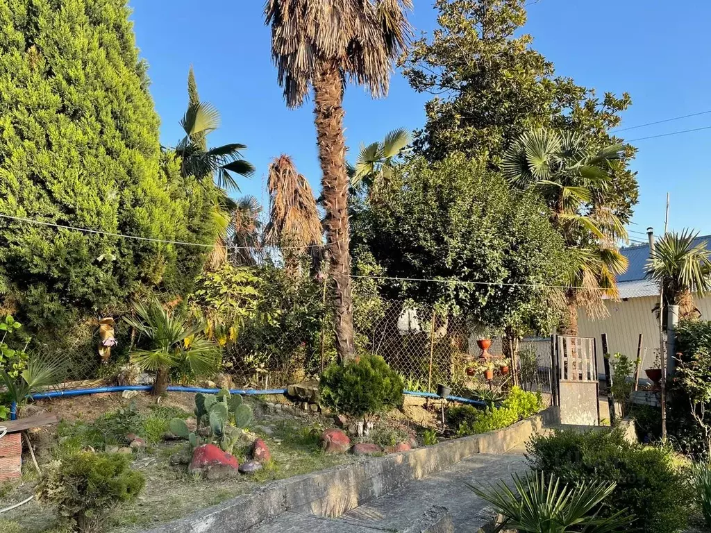 Дом в Краснодарский край, Сочи Культурное Уч-Дере мкр, ул. Семашко (81 ... - Фото 1