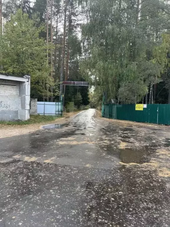 Участок в Владимирская область, Гусь-Хрустальный район, Анопино ... - Фото 1