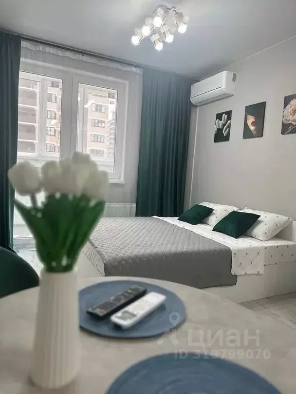 Студия Краснодарский край, Краснодар бул. Адмиралтейский, 3к1 (27.0 м) - Фото 1