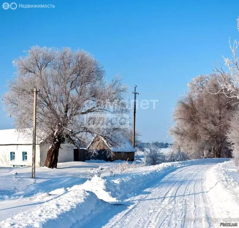 Участок в Липецкий муниципальный округ, село Грязное (27 м) - Фото 1