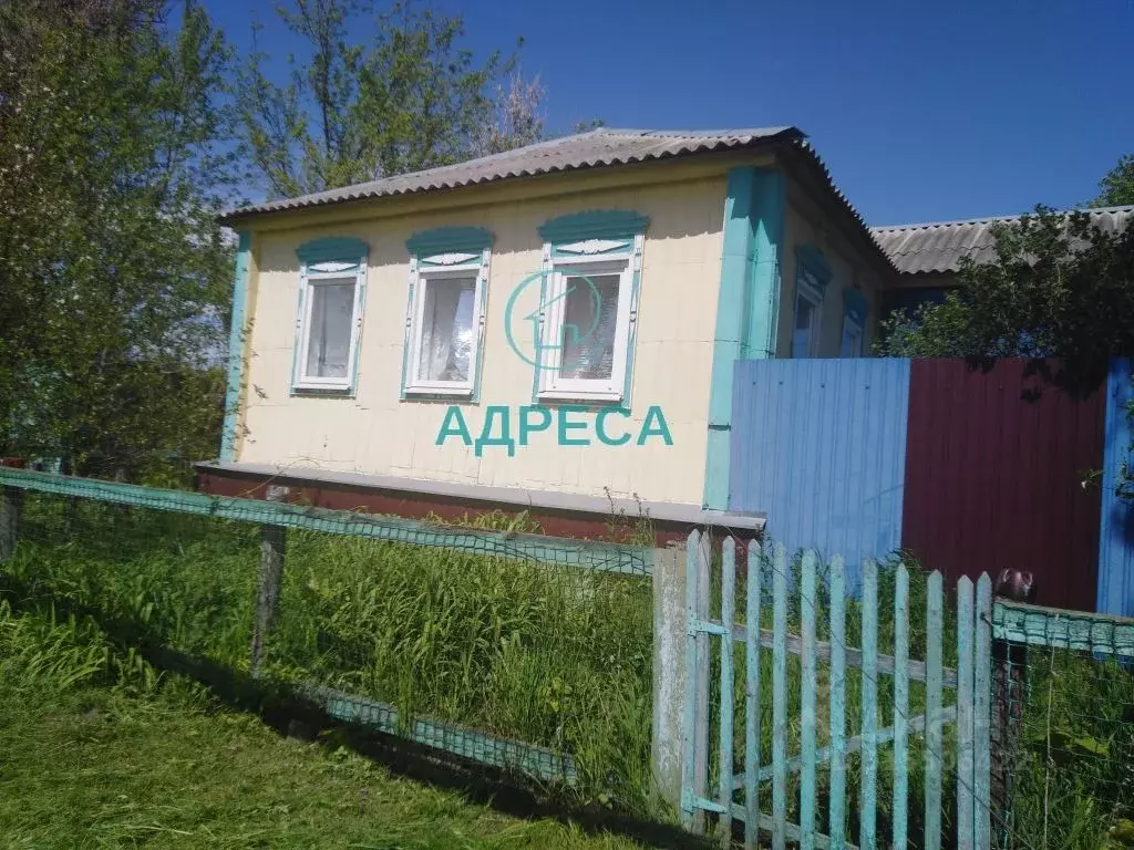 Дом в Белгородская область, Новооскольский муниципальный округ, с. ... - Фото 1