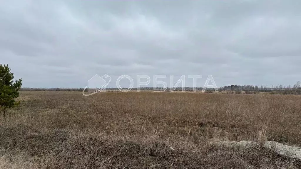 Участок в Тюменская область, Тюменский район, с. Горьковка  (200.0 ... - Фото 0