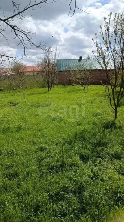 Участок в Краснодарский край, Щербиновский район, Новощербиновская ... - Фото 1