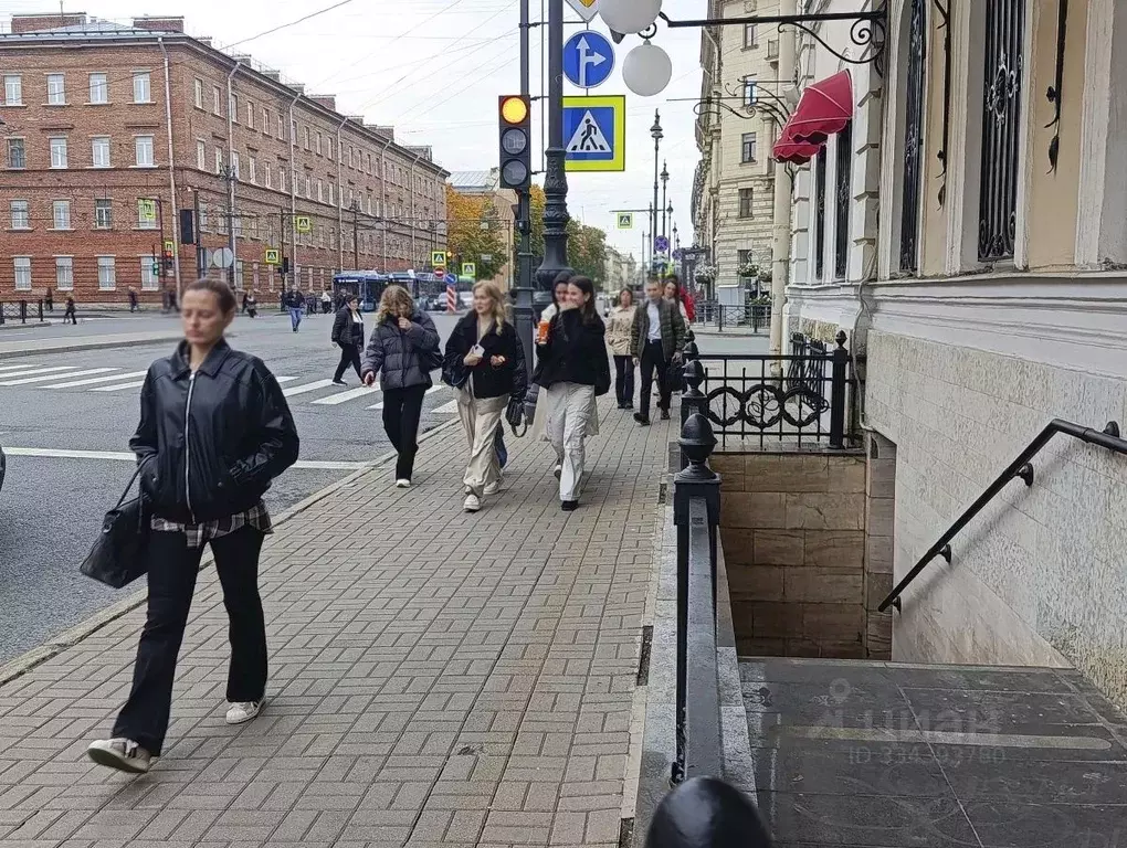 Помещение свободного назначения в Санкт-Петербург Суворовский просп., ... - Фото 2