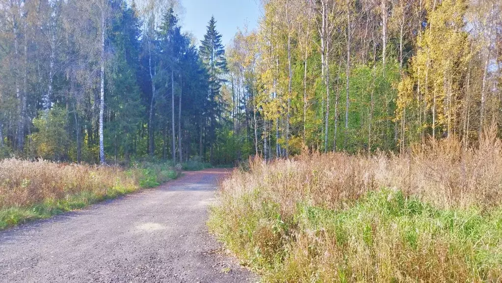 Участок в Московская область, Домодедово городской округ, д. Минаево, ... - Фото 1