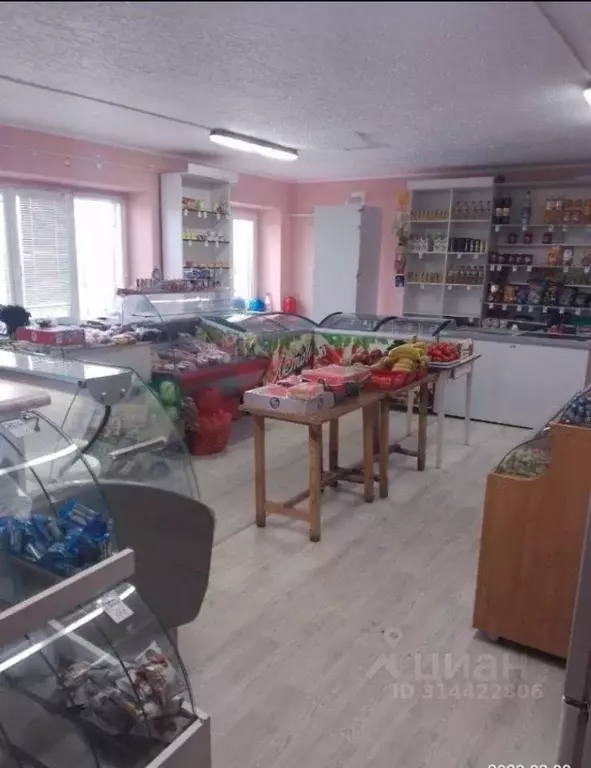 Торговая площадь в Пензенская область, Пензенский район, ... - Фото 2