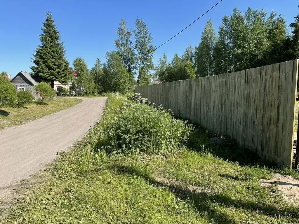 Участок в Ленинградская область, Лодейнопольский район, Янегское ... - Фото 0