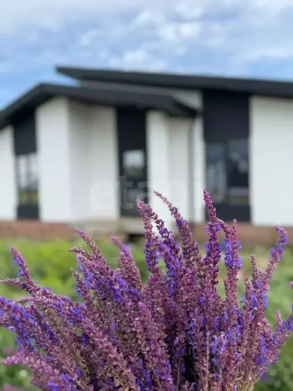 Дом в Саратовская область, д. Мергичевка ул. Малая Приовражная (104 м) - Фото 1