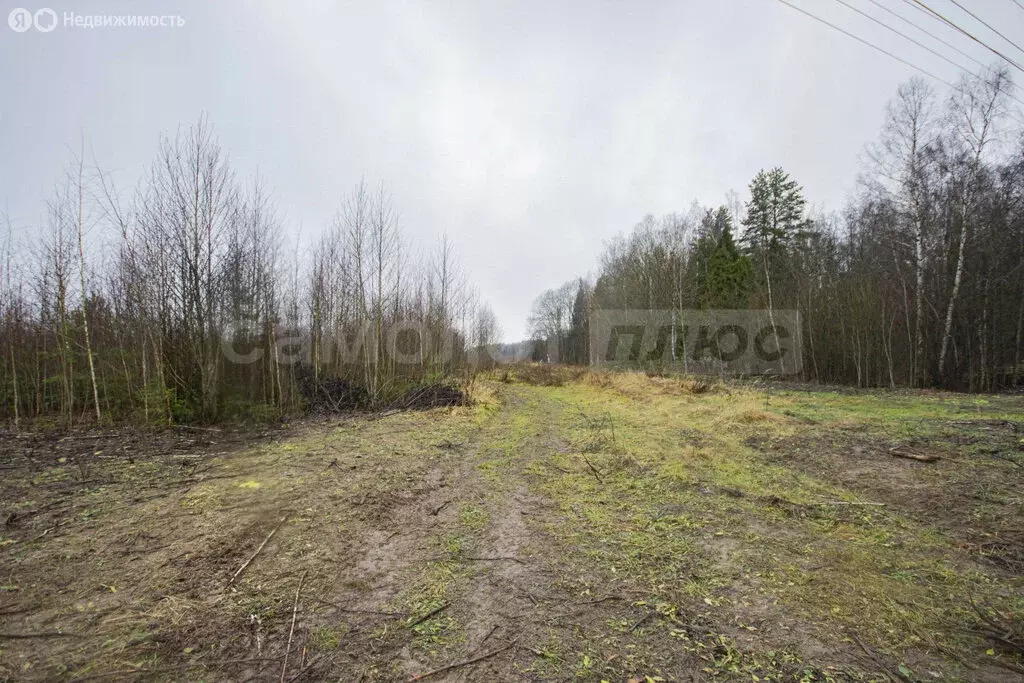 Участок в Наро-Фоминский городской округ, дачный посёлок Парус (8 м) - Фото 2