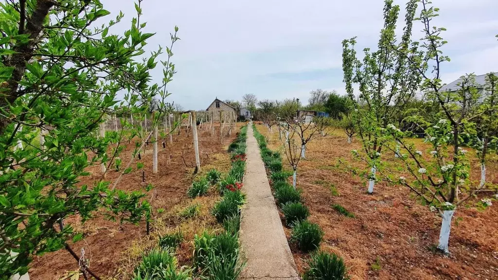 Дом в Крым, Сакский район, Митяевское с/пос, Эскулап СНТ  (27 м) - Фото 2