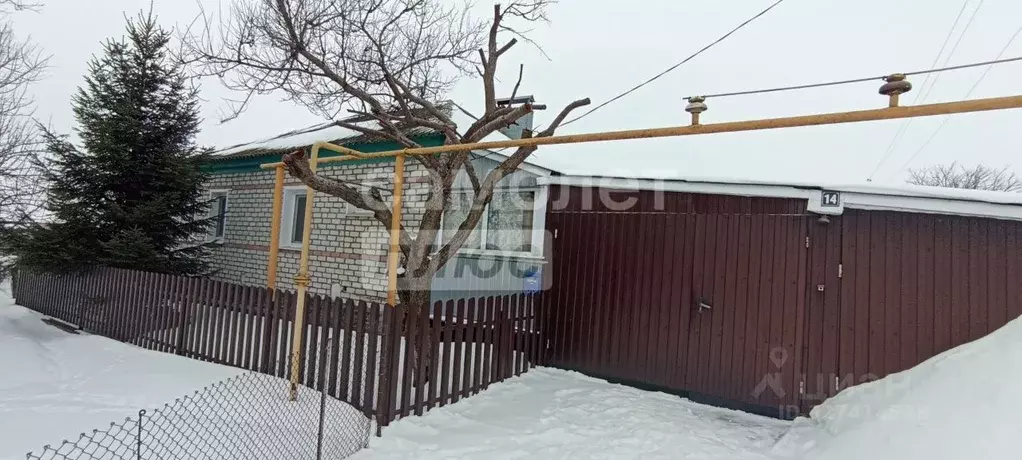 Дом в Воронежская область, с. Нижнедевицк пер. 8 Марта, 14 (59 м) - Фото 2