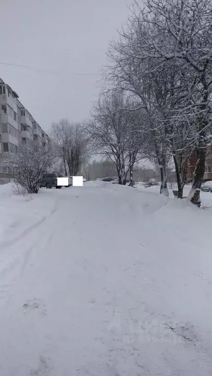 2-к кв. Пермский край, с. Бершеть ул. Ленина, 12 (47.2 м) - Фото 1