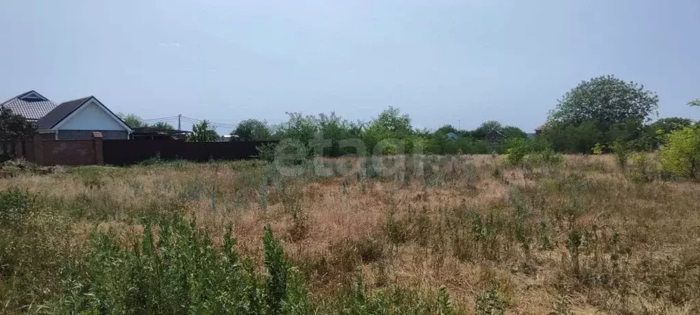 Участок в Ростовская область, Неклиновский район, с. Николаевка  (15.0 ... - Фото 2