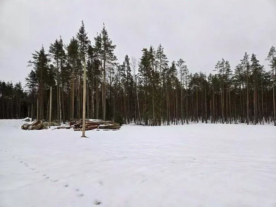 Участок в Ленинградская область, Выборгский район, пос. Поляны  (12.0 ... - Фото 2