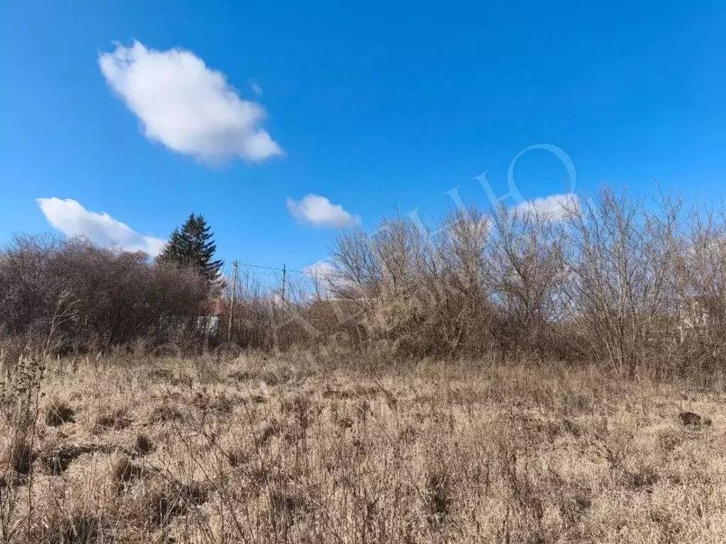 Участок в Воронежская область, Семилукский район, с. Девица Садовая ... - Фото 1