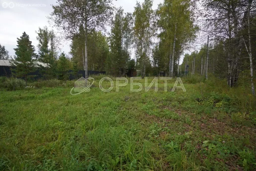 Участок в Тюменский муниципальный округ, СНТ Лесник-2 (15 м) - Фото 1