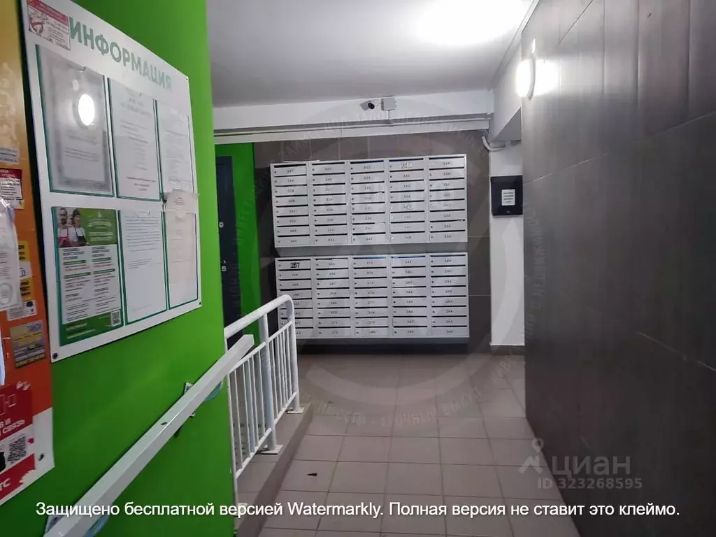 Студия Нижегородская область, Дзержинск Прибрежная тер., наб. Окская, ... - Фото 1